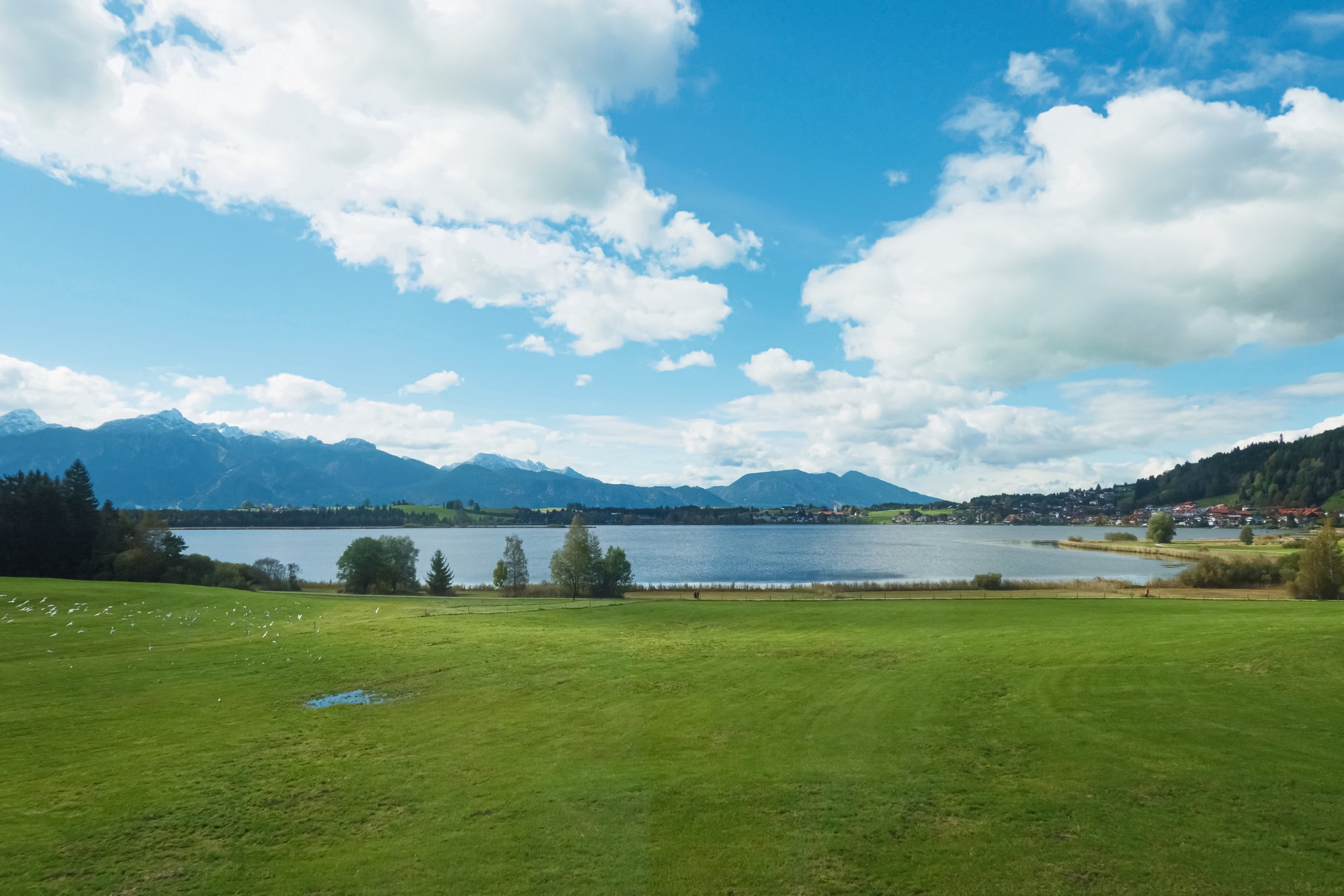 Bingimalla_Projects_Sree_Lake_View_01