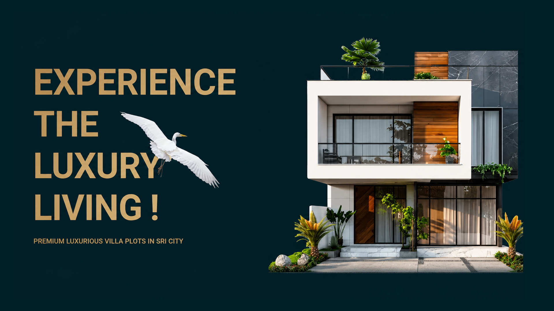Bingimalla_Projects_The_Exotica