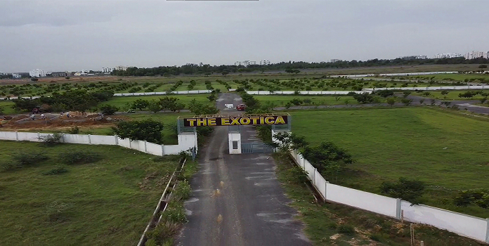 Bingimalla_Projects_The_Exotica